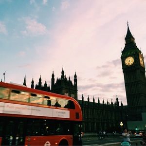 Meet your Posher, Bella